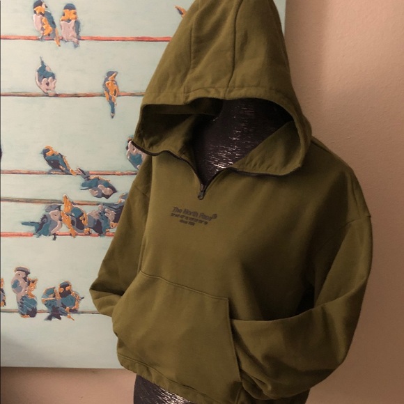 The North Face Dark Olive Pullover Hoodie - Picture 1 of 3